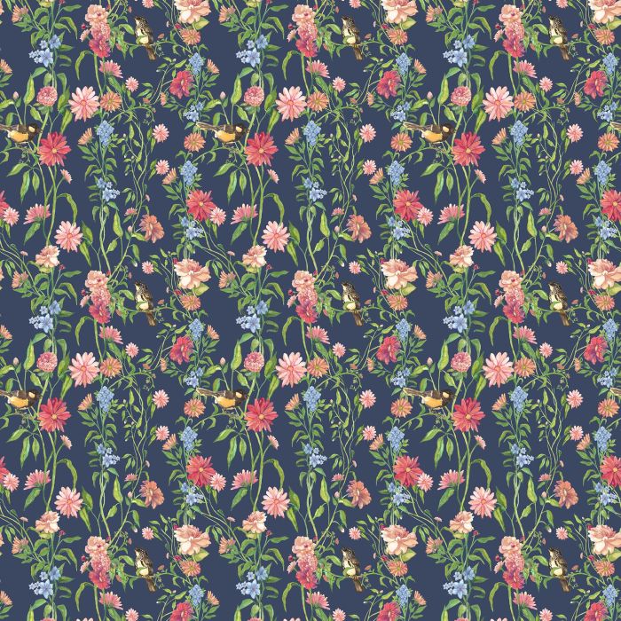 product1 image
