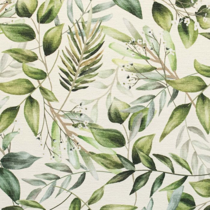 product6 image