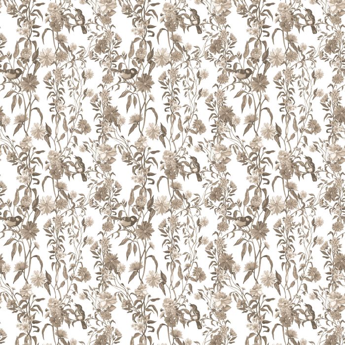 product1 image