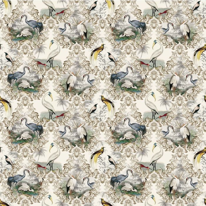 product1 image