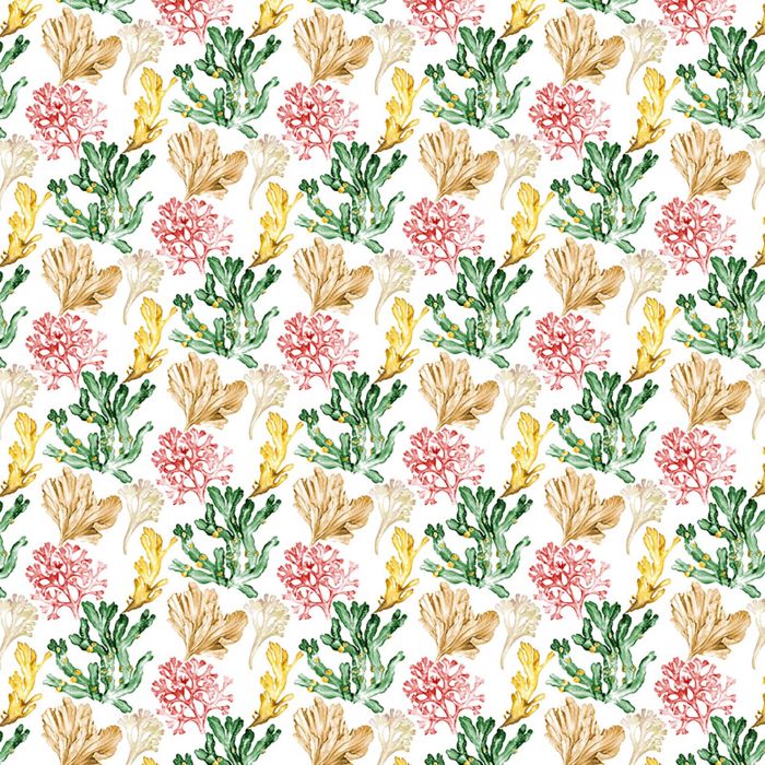 product1 image