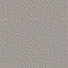 product1 image